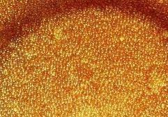 羅門哈斯拋光樹脂型號(hào)-羅門哈斯網(wǎng)