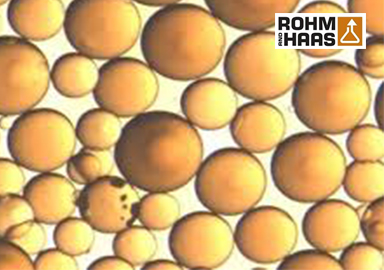 羅門哈斯 XAD16N大孔吸附樹脂